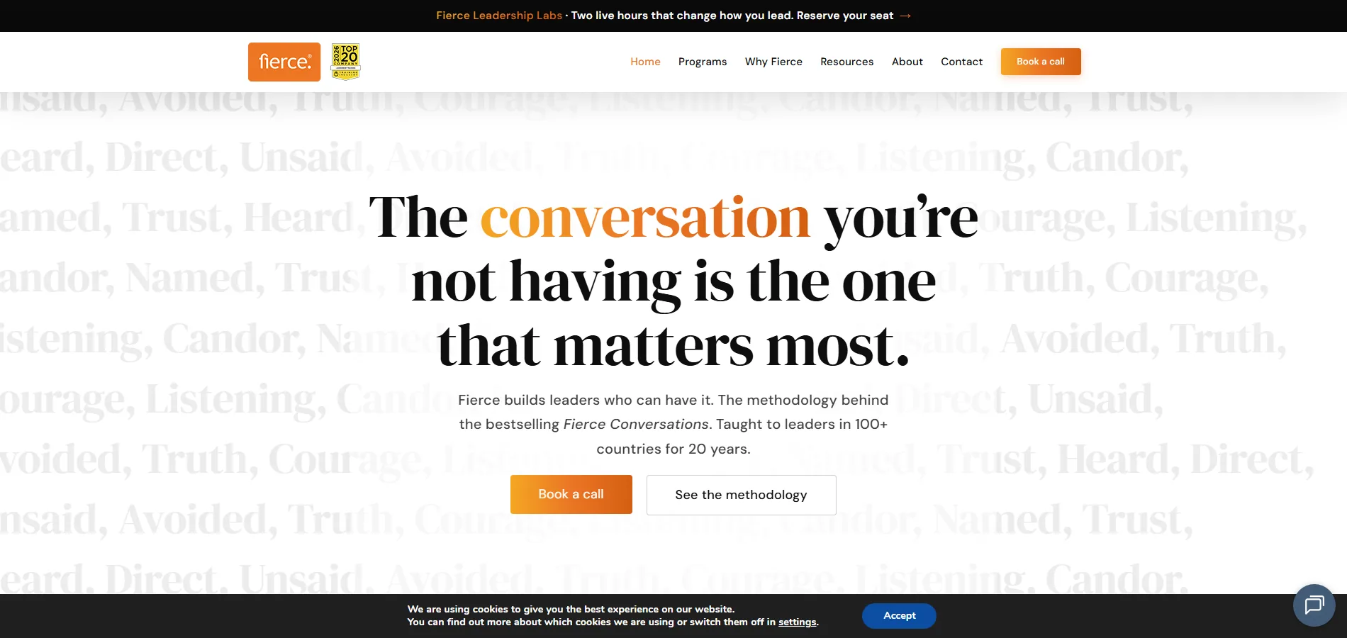 Fierce website preview